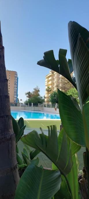 Апартаменти Elegante Alojamiento Con Piscina A 200 M Del Mar. Бенальмадена Екстер'єр фото